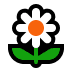 :blossom: :blossom: