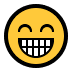 :grin: :grin:
